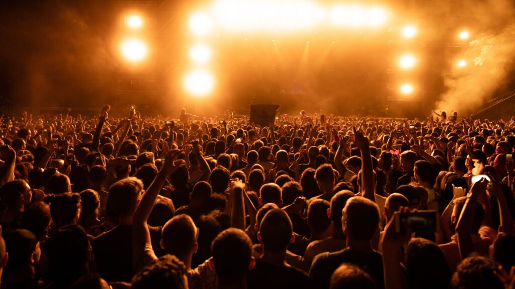 Back view of crowd of fans watching live performance on music concert at night. Copy space. 